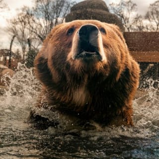 Toledo Zoo & Aquarium: boleto de entrada 3