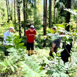 Kansallispuistovaellus & suomalainen savusaunaelämys ja nuotiolounas 6