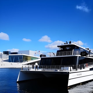 Oslo Combo Tour: Grand City Tour and Oslo Fjord Cruise 7