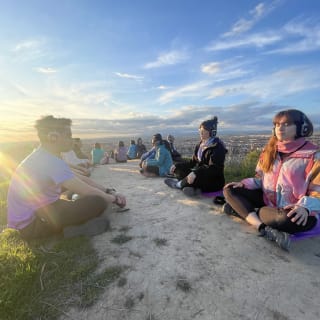 Vibra ZEN 2