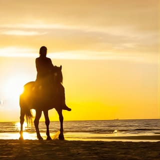 Cartagena: Paseo a Caballo por la Playa de Día o al Atardecer 2
