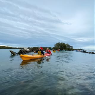 Adelaide Dolphin Sanctuary e cimitero di navi: tour in kayak 2