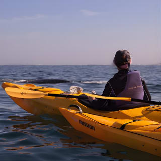 Kayak to the penguins in Simons Town 2