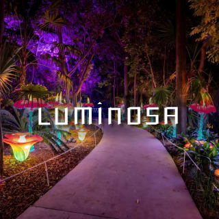 Luminosa 2026 — Miami, Reimagined in Light 2