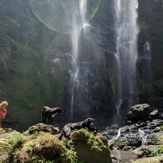 Charco Prieto Hidden Waterfall Adventure from San Juan 9