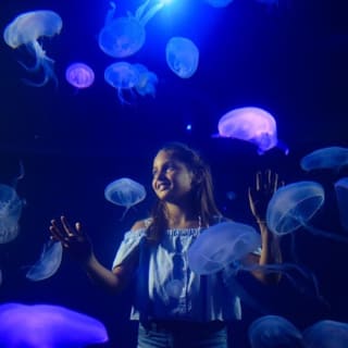 Palma Aquarium: Free entry + Optional 3D Aquadome Cinema 41