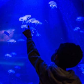 Seaquarium du Grau-du-Roi 11