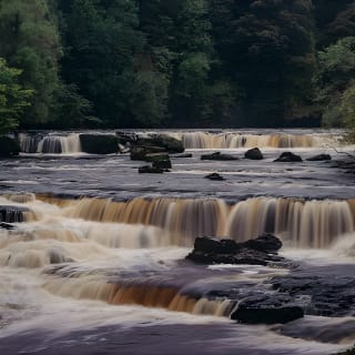 Full-Day Yorkshire Dales Tour from York 8