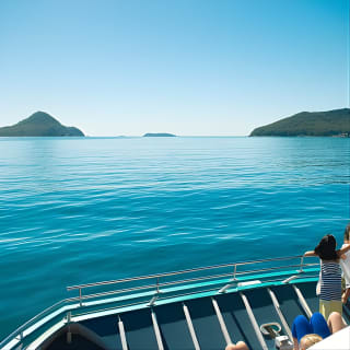 Port Stephens: Dolphin Discovery Cruise 5