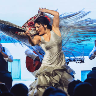 Experiencia Premium en Teatro Flamenco Barcelona 5