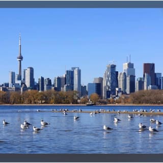 Guided Toronto Waterfront Cycling Tour 1