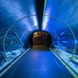 Seaquarium du Grau-du-Roi 13