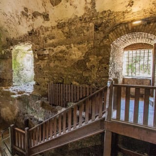 Blarney Castle Day Trip from Dublin 4