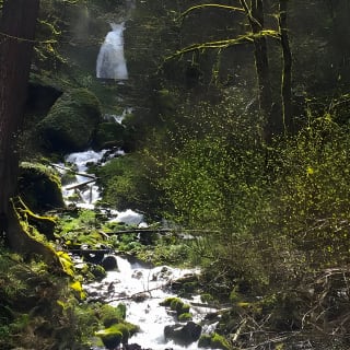 Explore Columbia River Gorge Half-Day Small-Group Tour  15