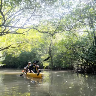 Kayak Sailing en Singapur, Manglar, Kelong y Pulau Ubin, comida con marisco incluida 12