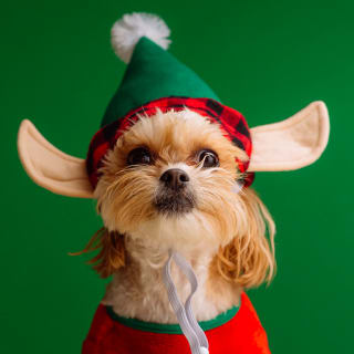 Cuenta atrás para Navidad 5 1