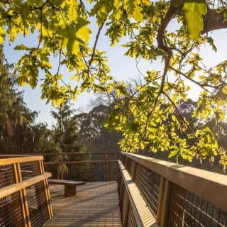 Serralves Park: admission ticket and Treetop Walk 34