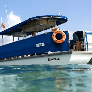 3 Hour Crab Island and Dolphin Cruise from Destin  2