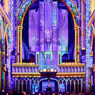 LUMINISCENCE Manchester: The 360° Immersive Show - UK Premiere 7