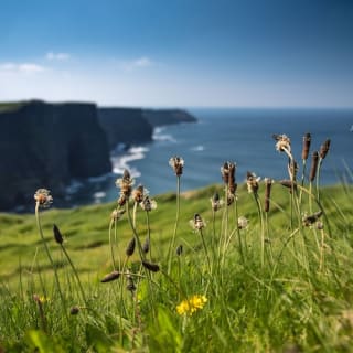 Galway to Cliffs of Moher and Burren Full Day Tour 3