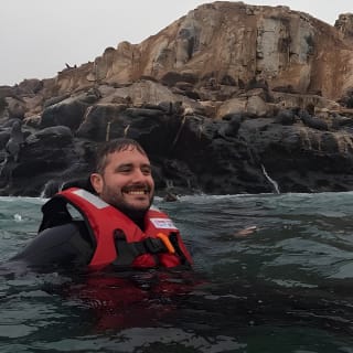 Nadar con Leones Marinos en Isla Palomino en Lima con Entradas 11