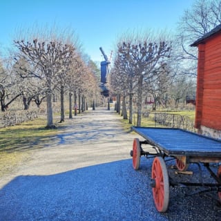 Skansen: Freilichtmuseum und nordeuropäischer Zoo 28