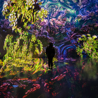 ARTECHOUSE Presents: Fractal Worlds 4
