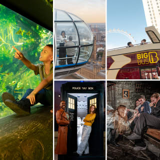 Madame Tussauds, London Eye, Dungeon, SEA LIFE Aquarium y Big Bus 2