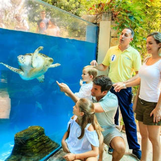 Palma Aquarium: Free entry + Optional 3D Aquadome Cinema 82