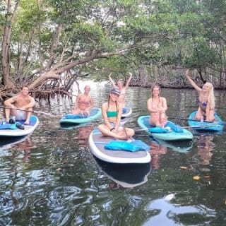 Mangrove Jungle Exploration on SUP/Kayak 6