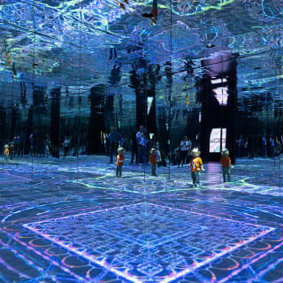 ARTECHOUSE Presents: Fractal Worlds 6