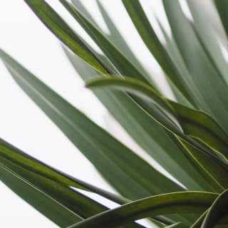 Día de la Naturaleza 1 1