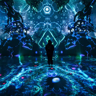 ARTECHOUSE Presents: Fractal Worlds 11