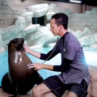 Atlas Village - Sea Lion Experiences 4