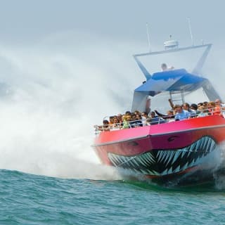 Boston Codzilla High-Speed Thrill Boat Ride 2