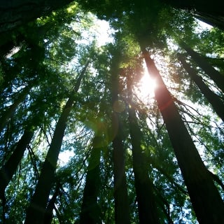 Introduction to Wilderness Survival Clinic in Santa Cruz 11