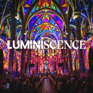 LUMINISCENCE Sacramento: A Spectacular Fusion of Light, Music, and Story - Gift Card 2