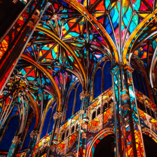 LUMINISCENCE Sacramento: A Spectacular Fusion of Light, Music, and Story - Gift Card 6