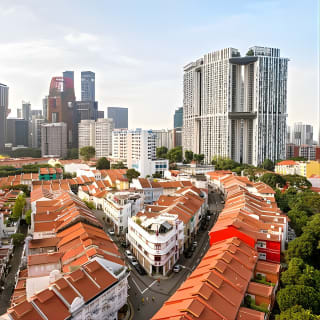 Singapore Group History & Culture Tour:River Cruise, Hawker Dinner & Tea Tasting 13