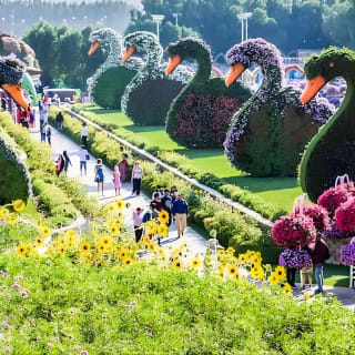 Dubai IMG World Of Adventures Ticket with options 22