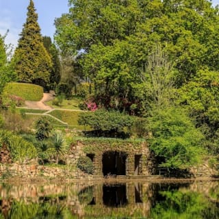 Serralves Park: admission ticket and Treetop Walk 48