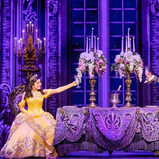 Wien: Musical Tickets Die Schöne und das Biest 2