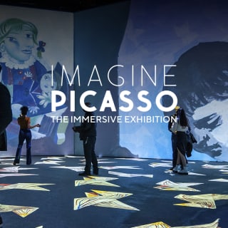 Imagine Picasso: The Immersive Exhibition 3