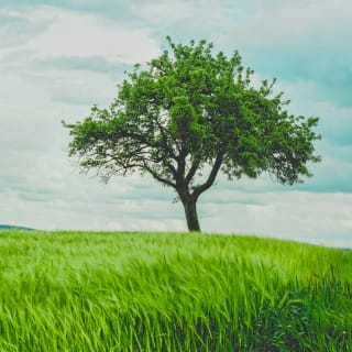 Día mundial del medioambiente 12 1