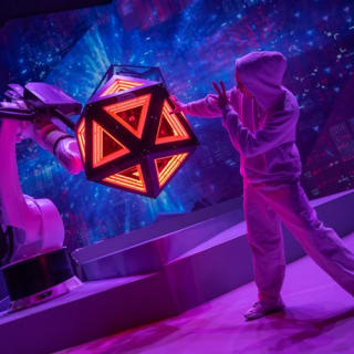 Futuroscope: 2-Day Pass 49