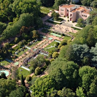 Serralves Park: admission ticket and Treetop Walk 53