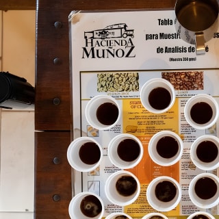Puerto Rico Coffee Plantation & Waterfall River Tour 8