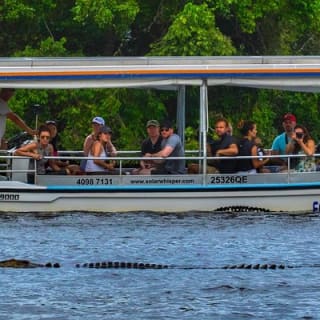 Solar Whisper Daintree River Crocodile and Wildlife Cruise 7