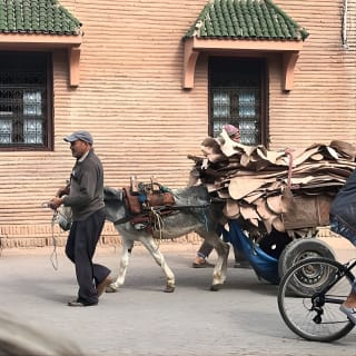 Les curiosités cachées de Marrakech :  11