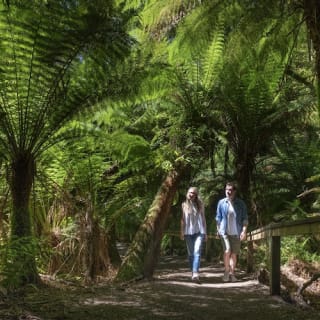 Great Ocean Road: Small Group Eco Tour from Melbourne 8